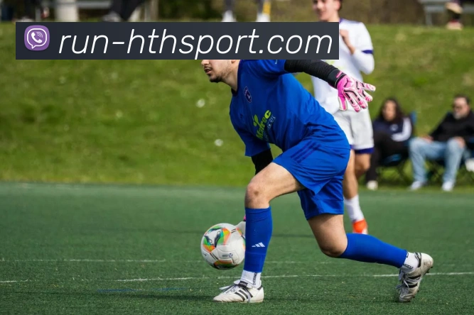 hth体育品牌故事